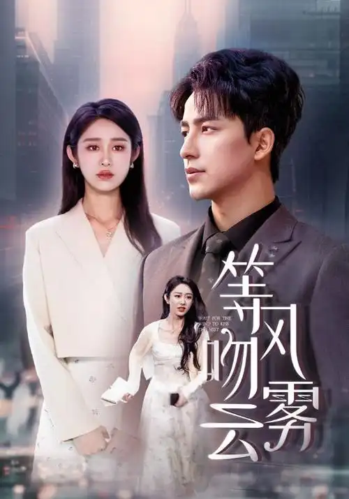 总裁的第九封辞职信 高清免费视频短剧